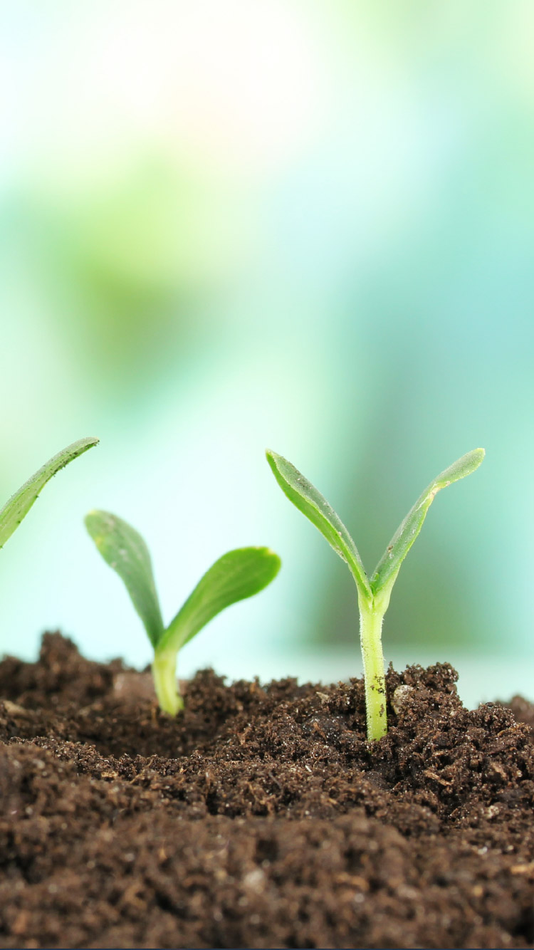 Device Content Image